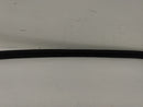 Pontiac Firebird Front Right Door Seal-7