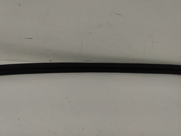 Pontiac Firebird Front Right Door Seal
