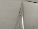 BMW 540I Front Right Door Moulding-11