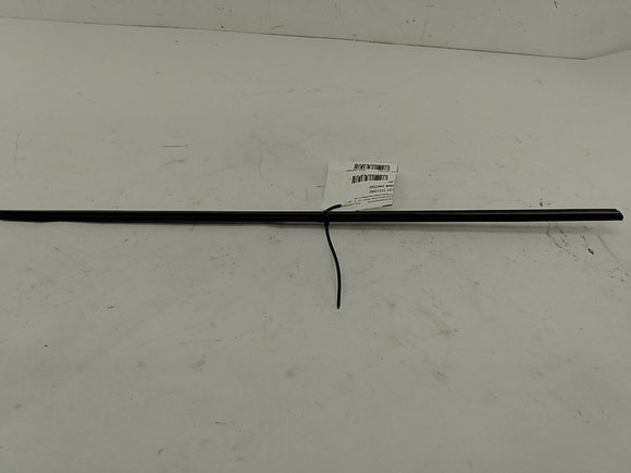 Toyota Land Cruiser Rear Door Exterior Window Moulding Set