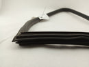 BMW 330Ci Rear Left Weather Moulding Strip-6
