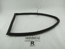 BMW 330Ci Rear Right Door Weather Moulding Strip-1