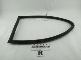 BMW 330Ci Rear Right Door Weather Moulding Strip