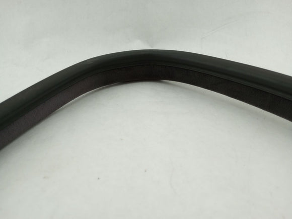 BMW 330Ci Rear Right Door Weather Moulding Strip