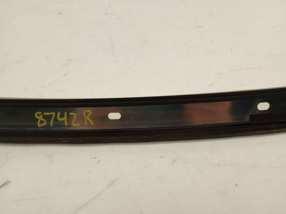 Hyundai Genesis Pair Of Door Sill Trim