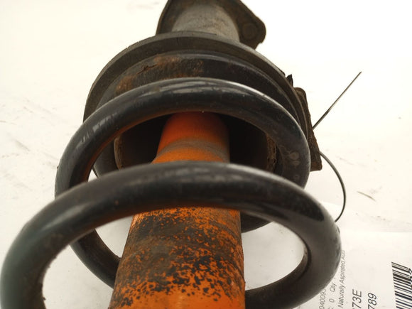 Lexus IS300 Rear Right Strut Assembly