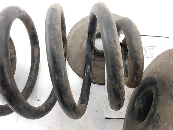 BMW 318i Rear Coil Spring Set