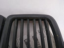 BMW 318i Front Center Grille-4