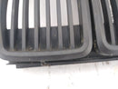 BMW 318i Front Center Grille-7