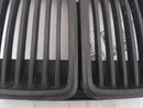 BMW 318i Front Center Grille-8