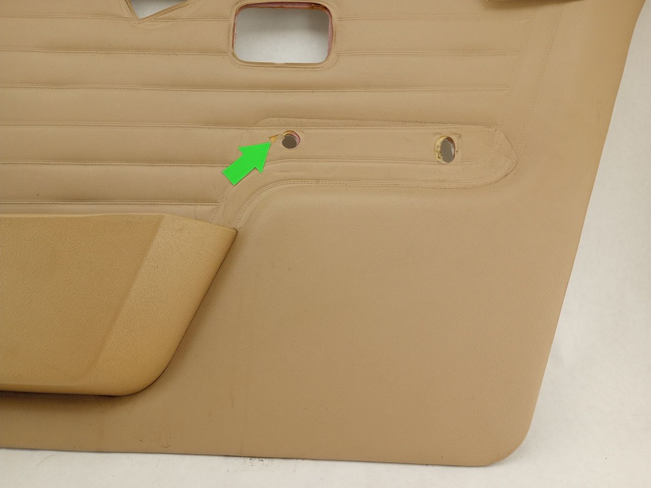 BMW 318i Front Right Door Trim Panel