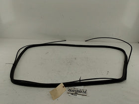 BMW 318i Windshield Seal