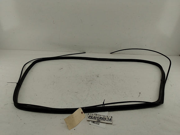 BMW 318i Windshield Seal
