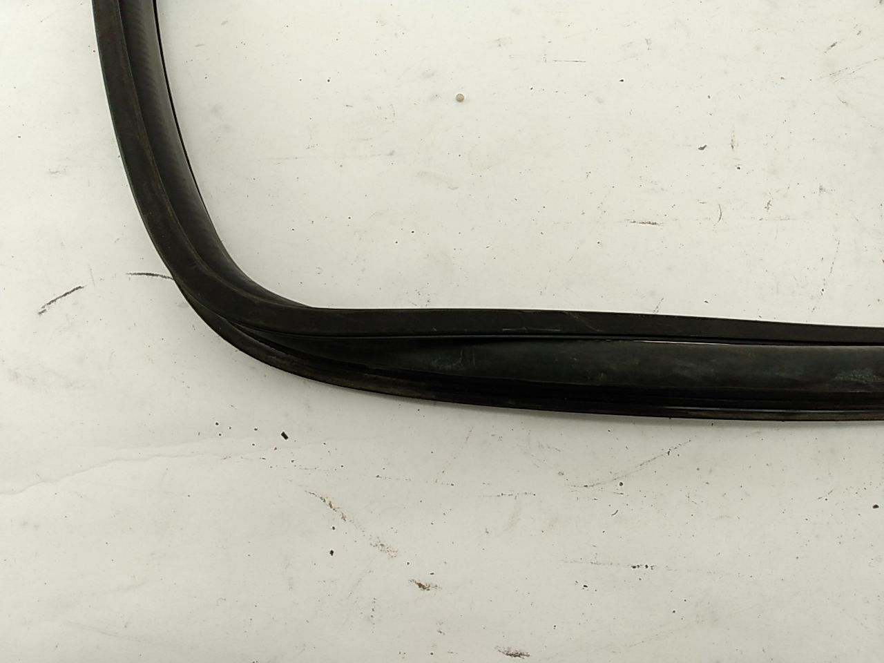 BMW 318i Windshield Seal