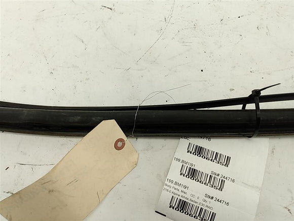 BMW 318i Windshield Seal