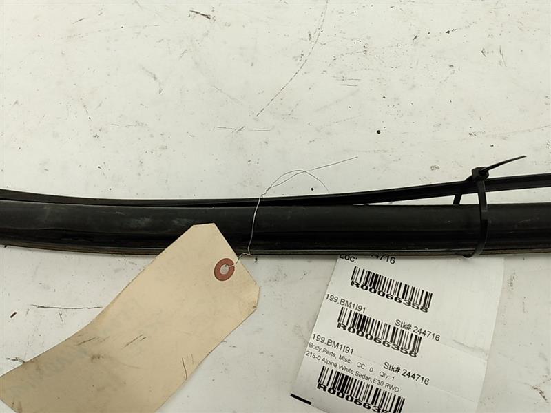 BMW 318i Windshield Seal