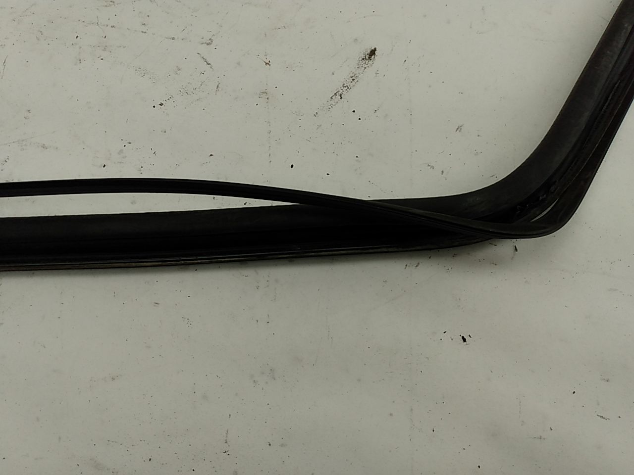 BMW 318i Windshield Seal