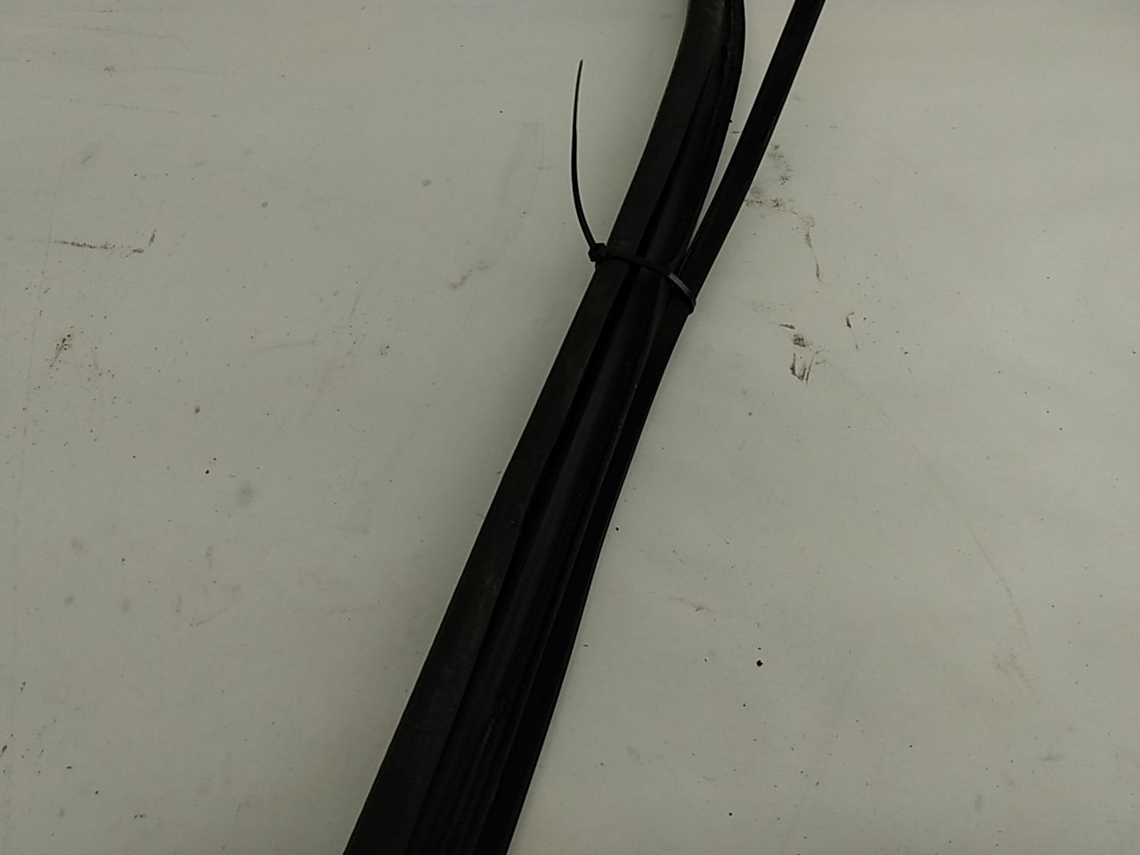 BMW 318i Windshield Seal