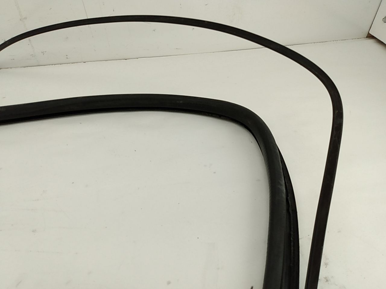 BMW 318i Windshield Seal