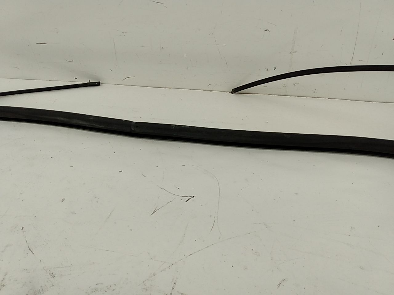 BMW 318i Windshield Seal