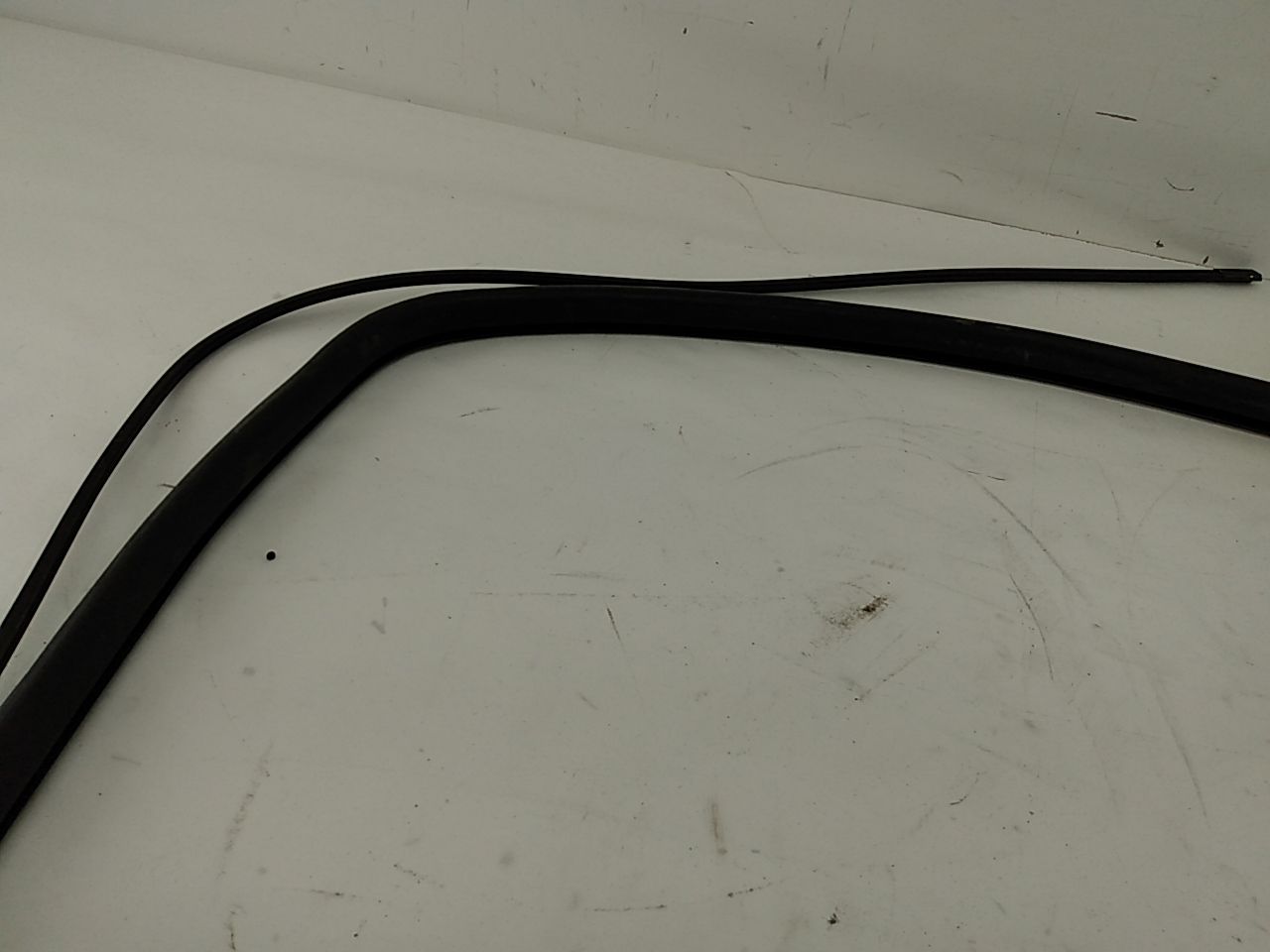 BMW 318i Windshield Seal