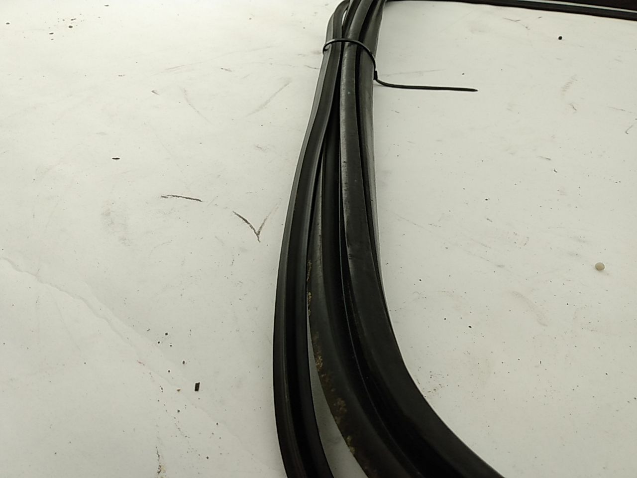 BMW 318i Windshield Seal