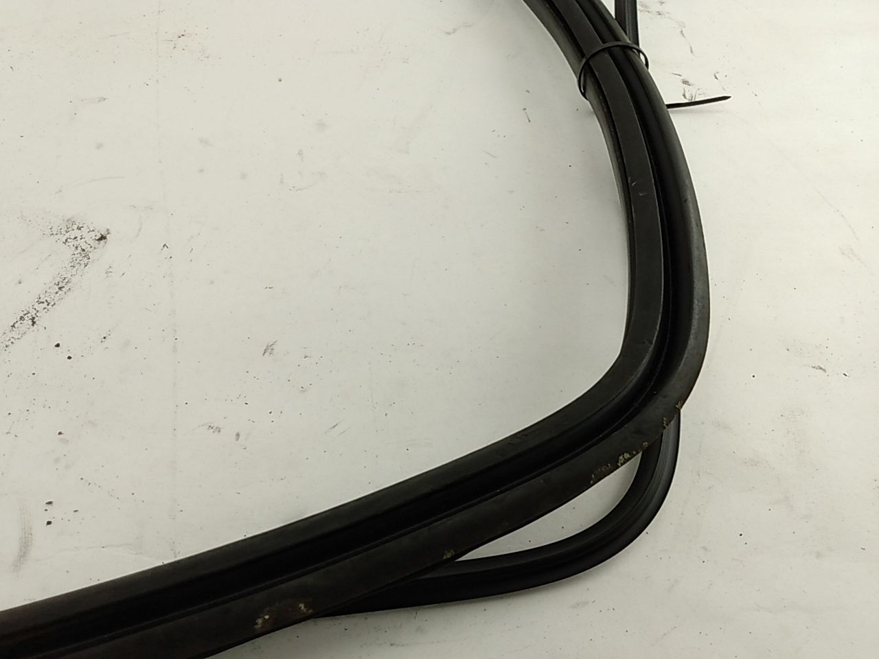 BMW 318i Windshield Seal