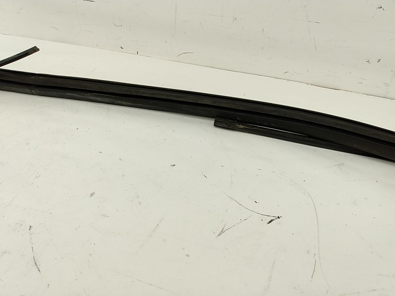 BMW 318i Windshield Seal