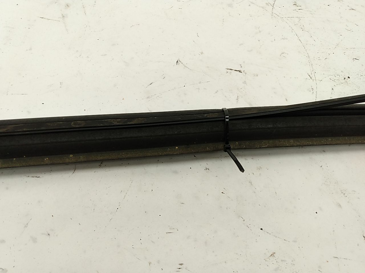 BMW 318i Rear Window Seal