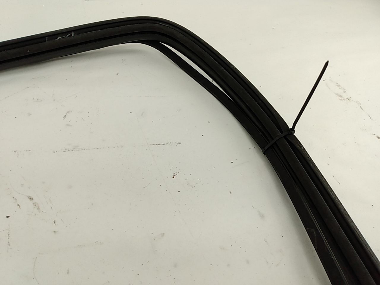 BMW 318i Rear Window Seal