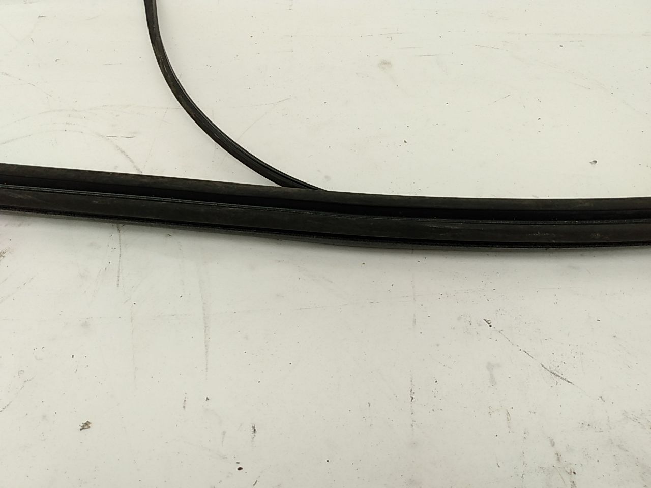 BMW 318i Rear Window Seal