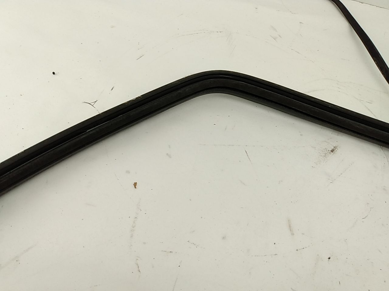 BMW 318i Rear Window Seal