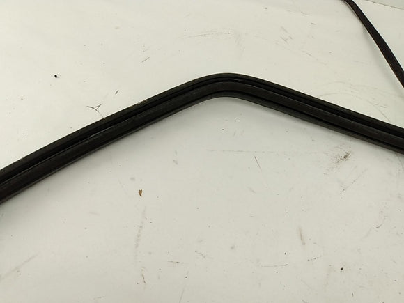 BMW 318i Rear Window Seal