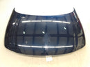 Audi TT Hood-2