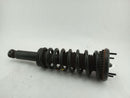 Jaguar XK Rear Left Strut Assembly-2