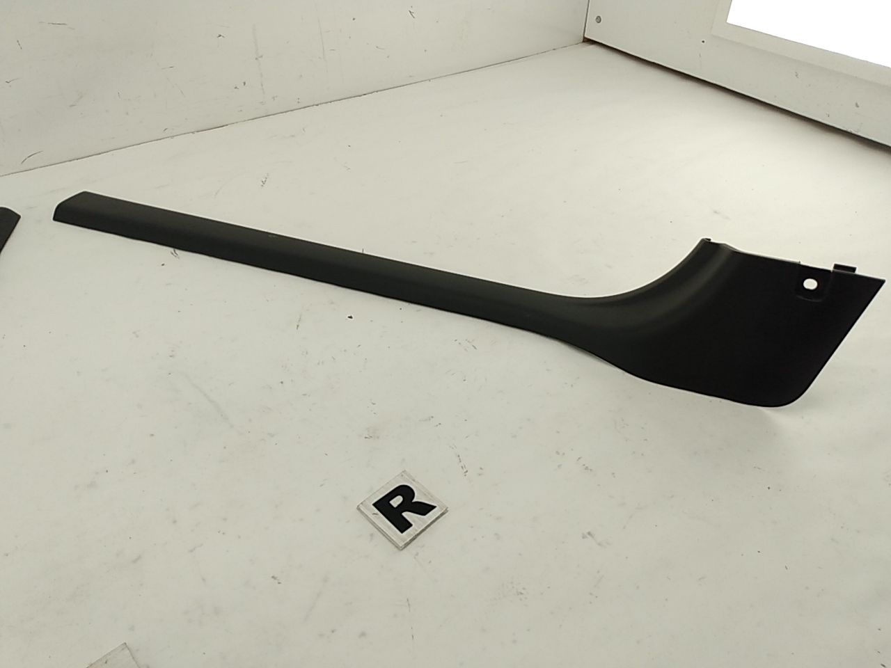 Jaguar XK Exterior Door Sill Trim Set