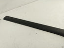 Jaguar XK Exterior Door Sill Trim Set-7