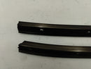 Jaguar XK Exterior A Pillar Weatherstrip Moulding Pair-3