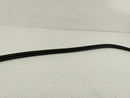 BMW 328i Trunk Seal-5