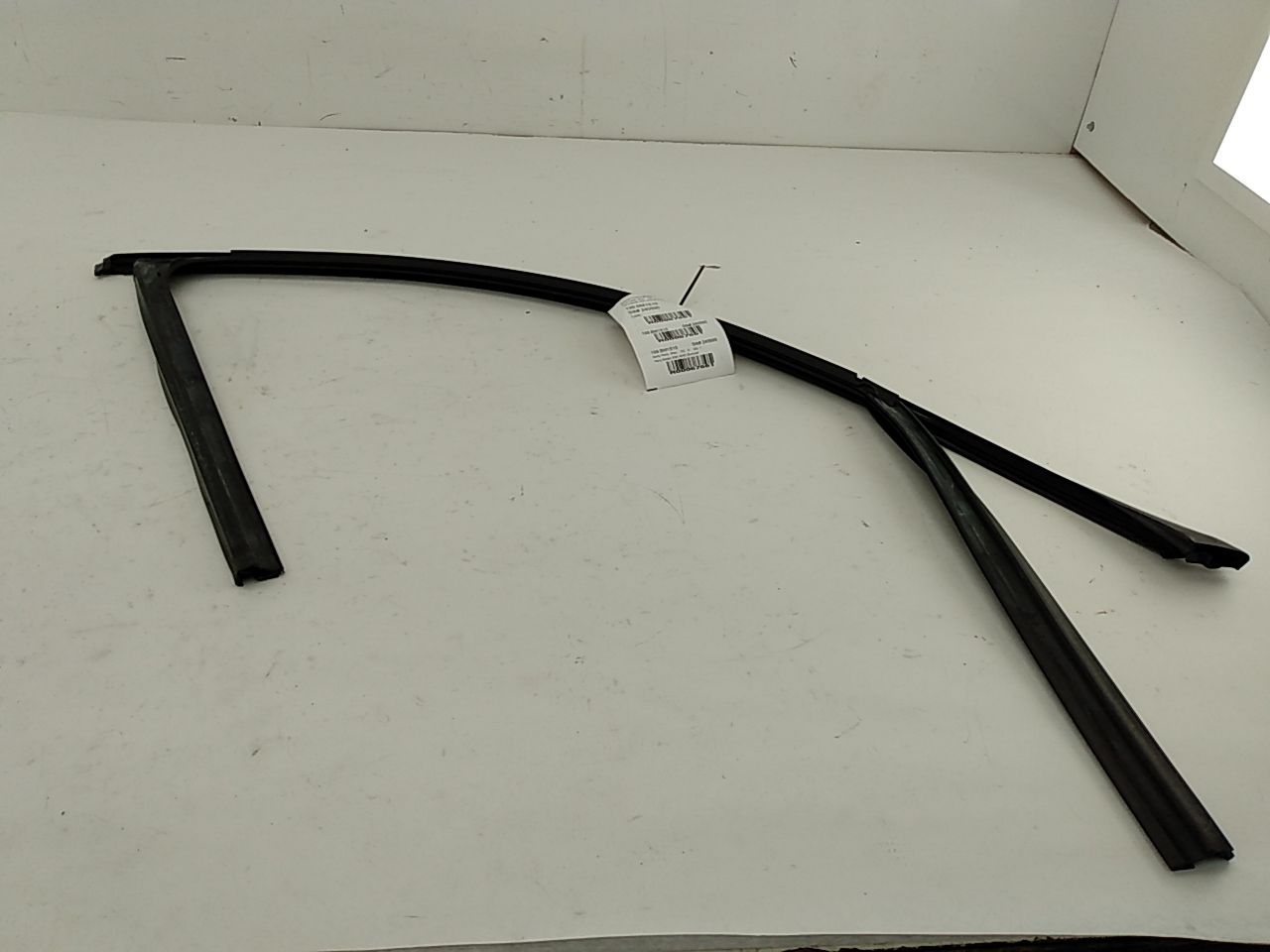 BMW 328i Front Left Door Window Seal