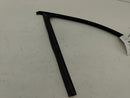 BMW 328i Front Left Door Window Seal-8