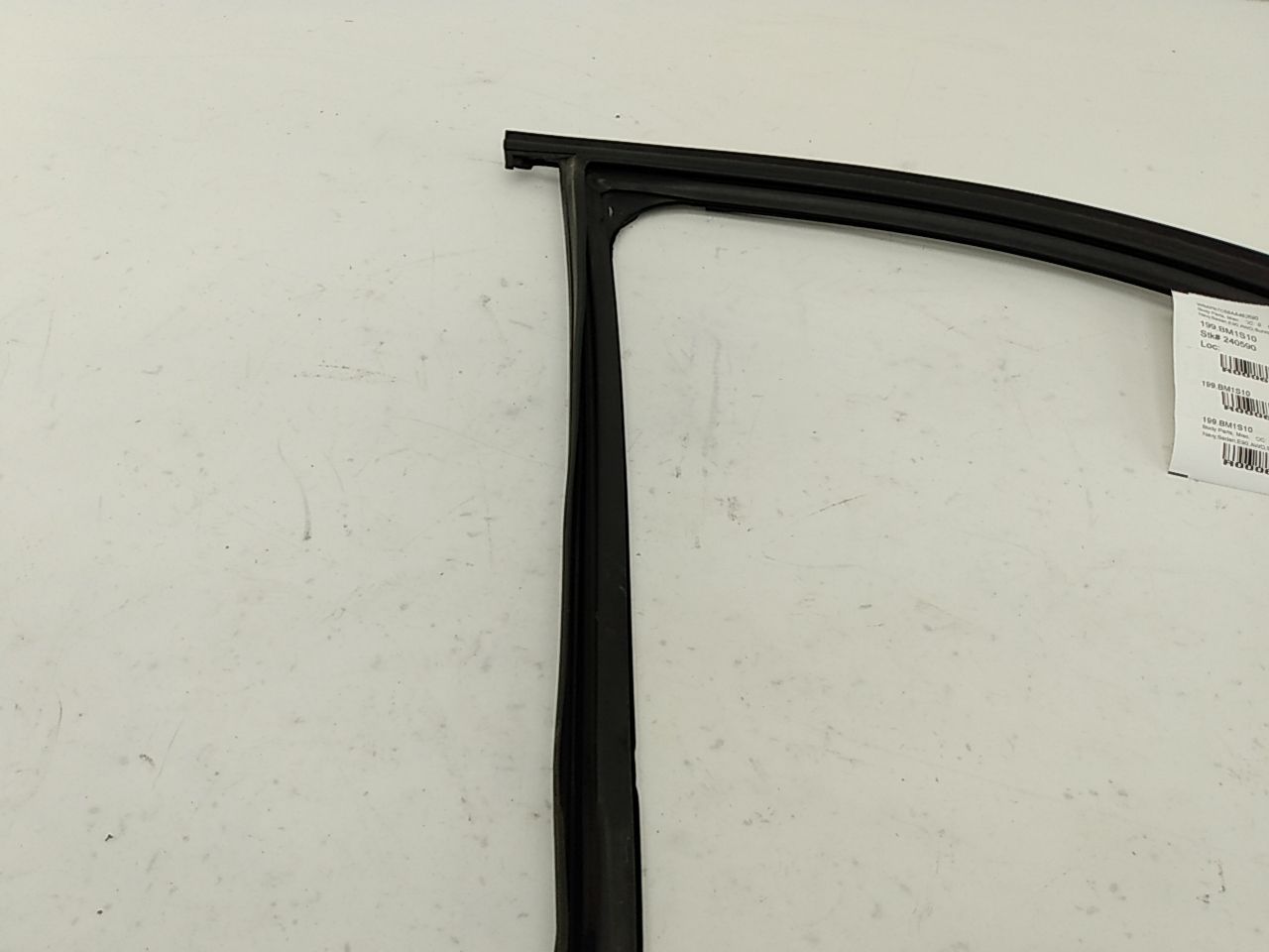 BMW 328i Front Right Door Window Seal