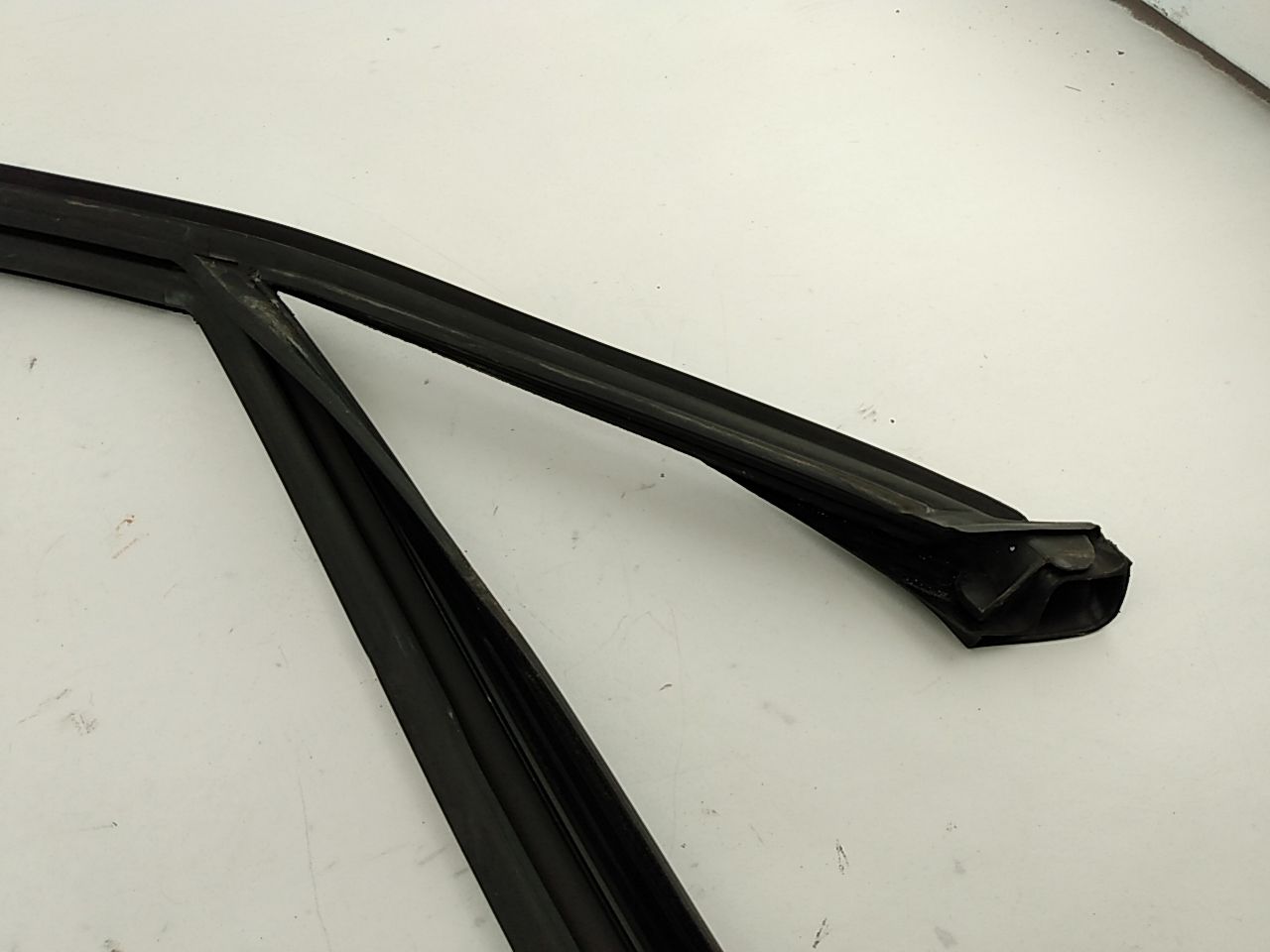 BMW 328i Front Right Door Window Seal