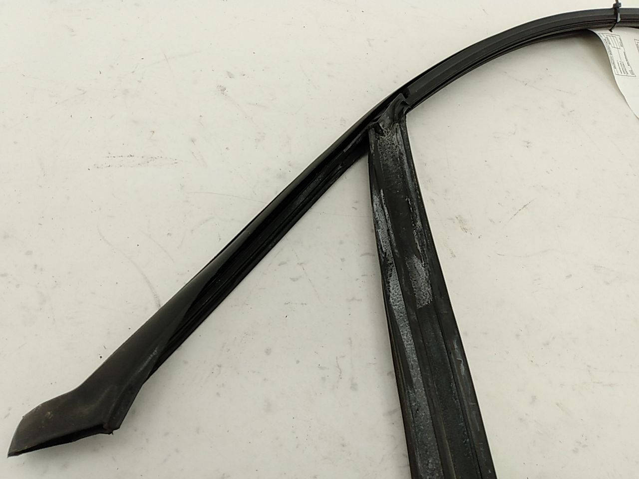 BMW 328i Front Right Door Window Seal