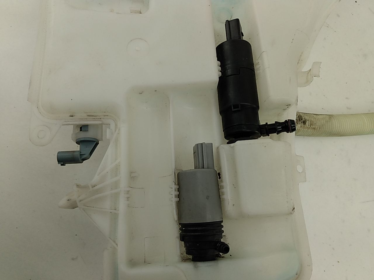 BMW 328i Windshield Washer Fluid Reservoir