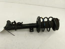 Mercedes SLK350 Front Left Strut-2