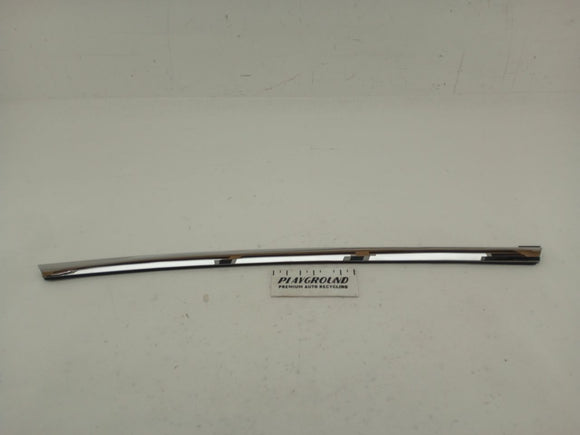 Tesla Model S Front Left Seal Outer Belt