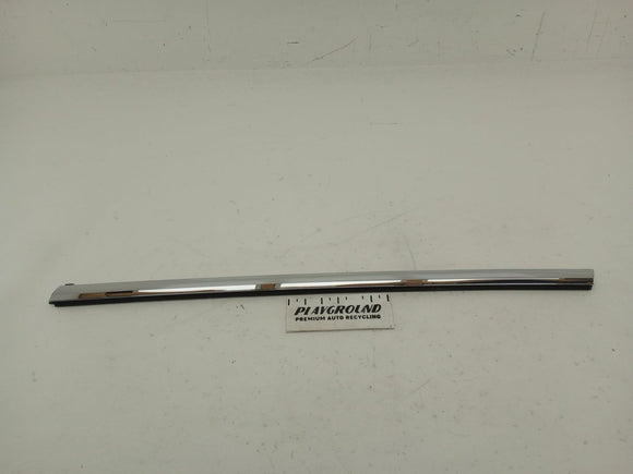 Tesla Model S Rear Left Door Seal