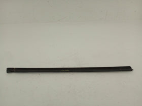 Tesla Model S Rear Left Door Seal - 0