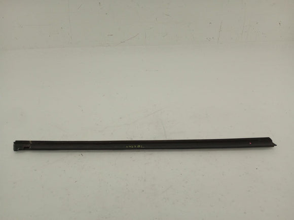 Tesla Model S Rear Left Door Seal